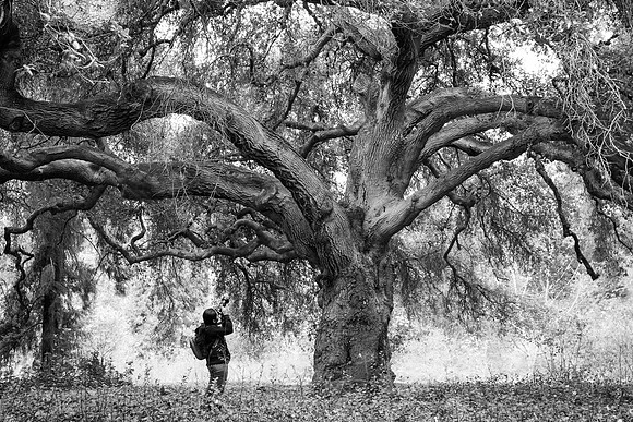 Photographer in Wonderland