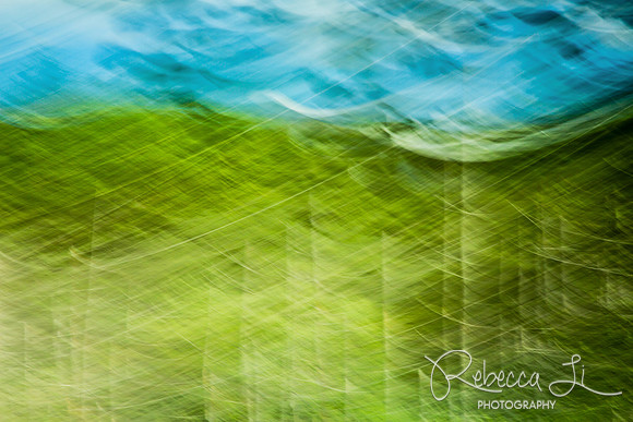 Strokes of Nature: Waves