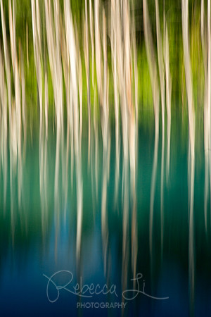 Nature's Canvas / Strokes of Nature
