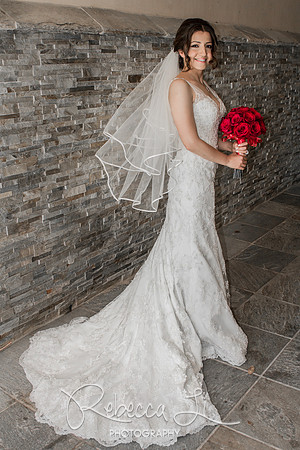 Showcasing the Dress