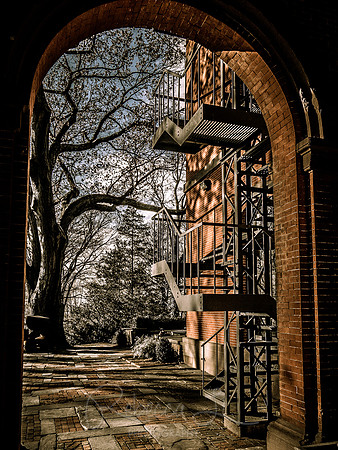 One Winter Afternoon