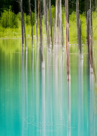 Painted in Spring