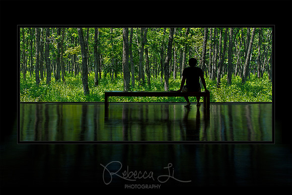Gallery of Nature