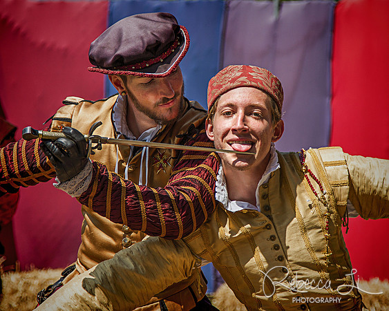 Renaissance Faire