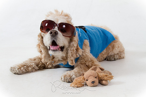 Fred Totally a Californian