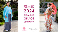 Seijinshiki marketing
