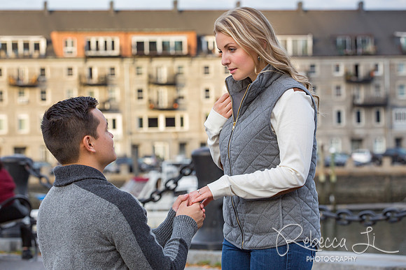 The Proposal